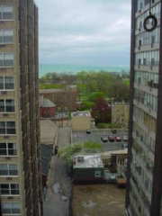 Alison's View