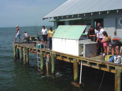 More fishing