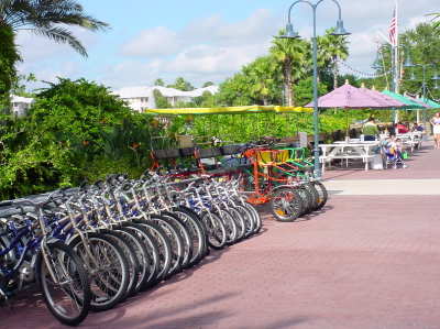 Rentals at OKW
