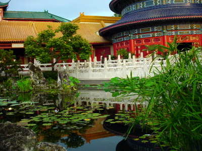 China Garden Beauty