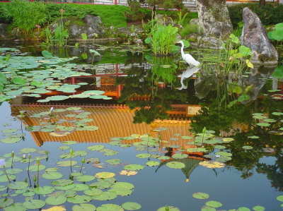Wildlife at China