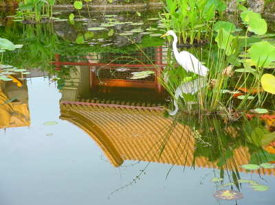 Reflections of China