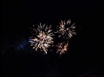 Epcot Fireworks