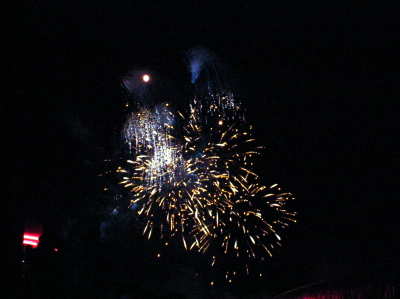 Epcot Fireworks 4
