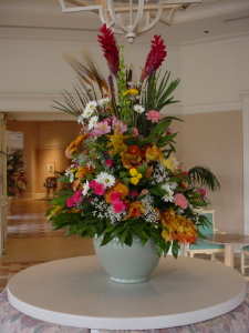 Grand Floridian Flowers