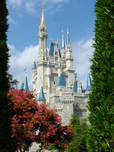The Castle at WDW