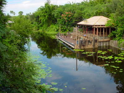 Outpost along the way at the Animal Kingdom