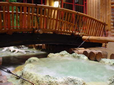Geyser Inside Lobby